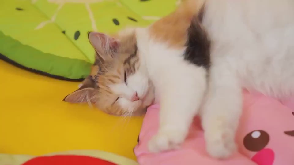 Dog Cooling Mat Pet Beds Cat Rug Ice Silk Pet Self